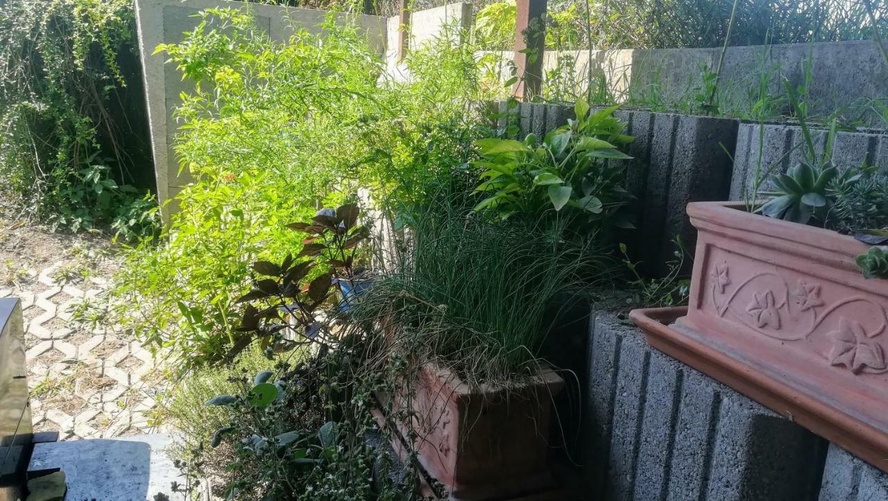 Appartamento Kukucs Dézsafürdő Etyek